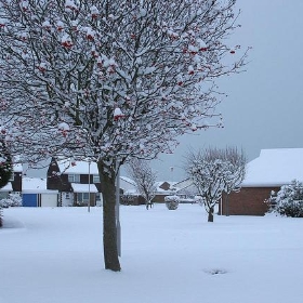 Guess i 'll stay home today !! snow west sussex littlehampton - richebets