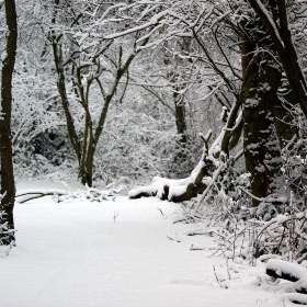 Snow in Farley Hill, Luton - Dazzan