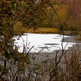 Magazine Pond - me'nthedogs