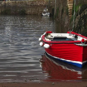 Red Boat - me'nthedogs