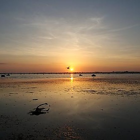 Poole Harbour Sunset - peter pearson