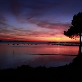 Sunset at Evening Hill, Poole 0814 - Mark Rigler UK