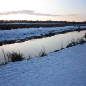 Doxey Marsh all icy and cold! - William Hook