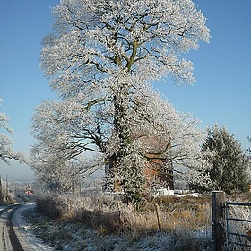 Hoar frost, Stourbridge,  22nd December 2009 - markpeate