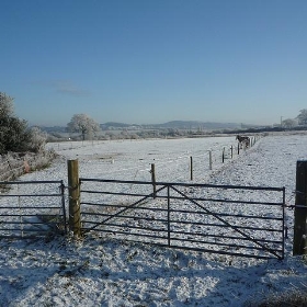 Hoar frost, Stourbridge,  22nd December 2009 - markpeate