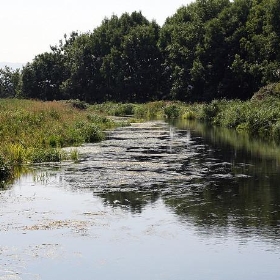 Saul Junction - Stroud Canal - Strange Ones