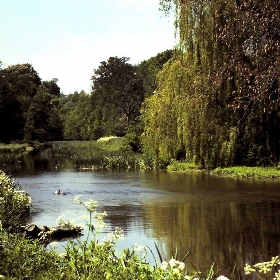 Grand Union Canal, Watford - korat102