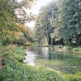 River Itchen - Margaret Anne Clarke