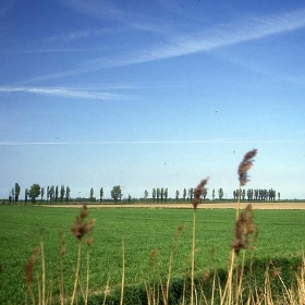 Christchurch, near Wisbech. May 1993 - sludgegulper