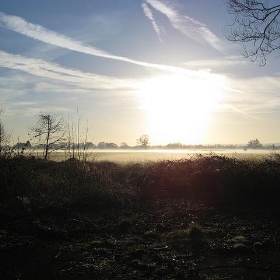 Surrey morning skyline - Kai Hendry