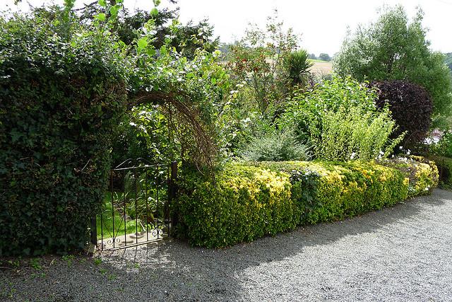 Barnstaple&area