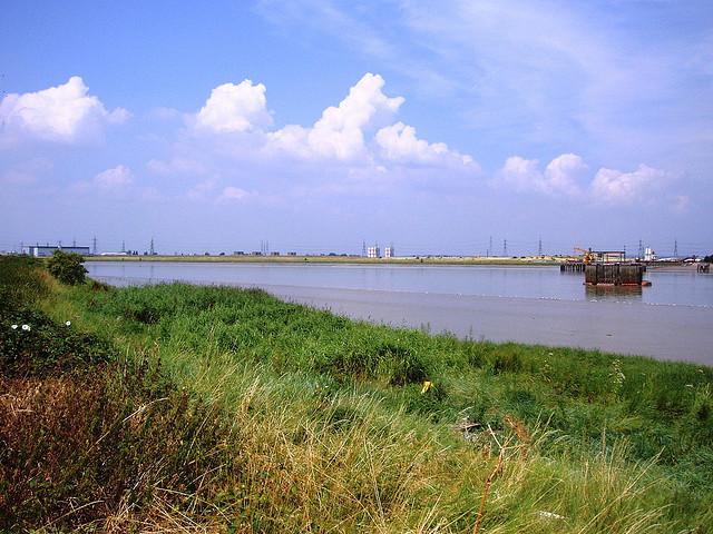 View Westwards
