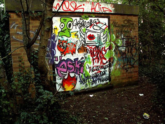 Grafitti Revolution