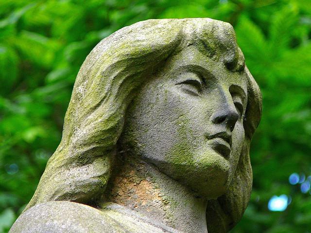 Angel face