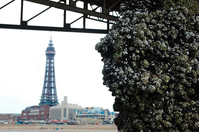 Blackpool Tower