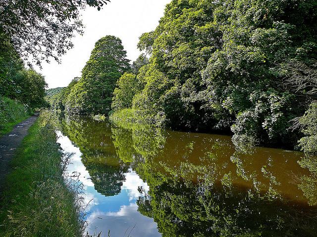 On reflection