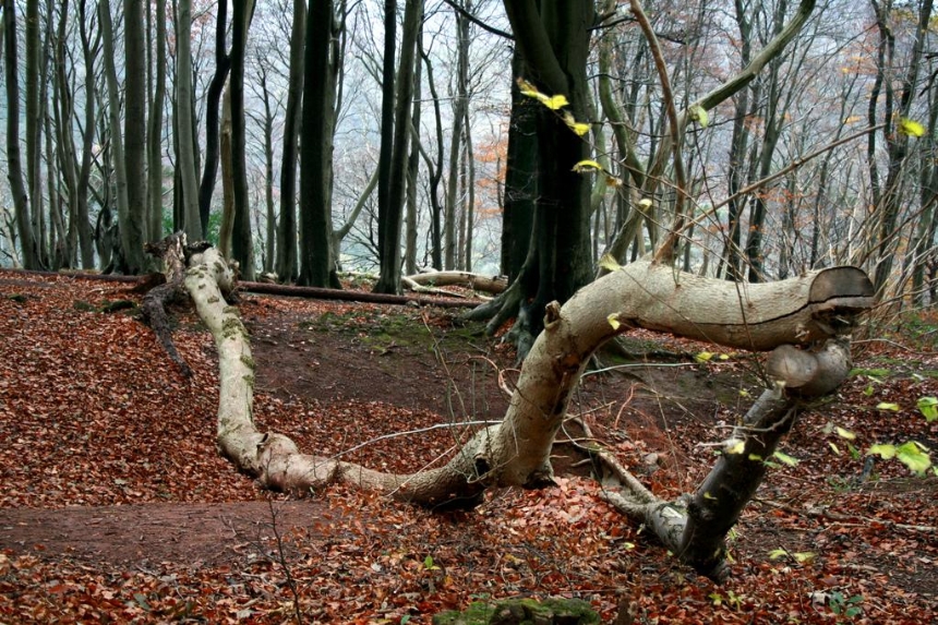 Ridgeway walk