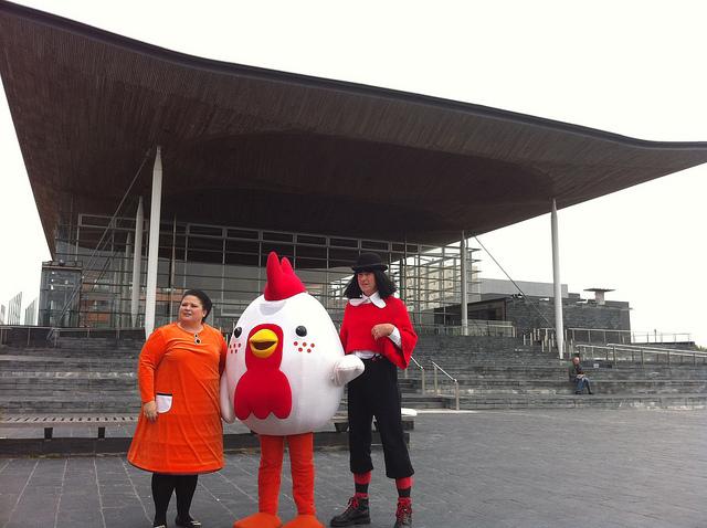 Cyw, Cardiff Bay, September / Cyw, Bae Caerdydd, Medi 2010