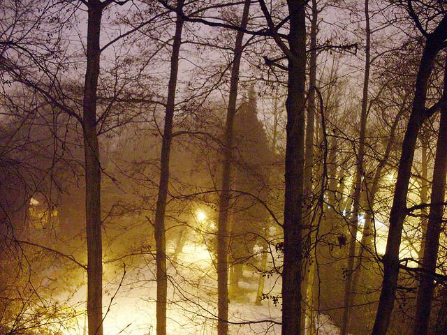 Tree lights