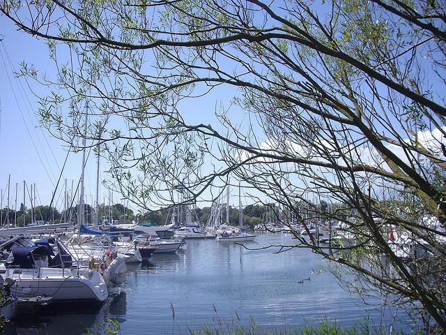 View of Chichester Marina