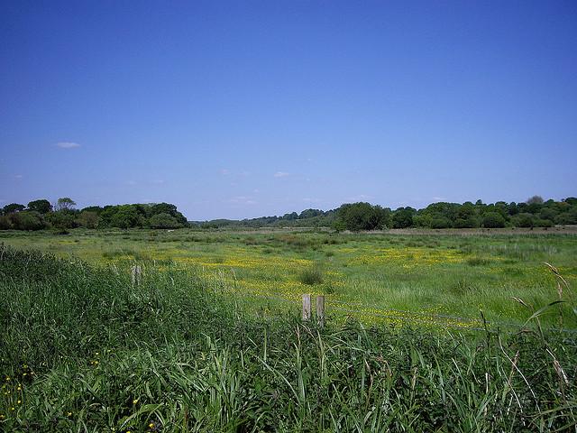 Looking over Titchfield Haven