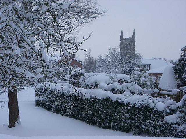 Farnham in the snow