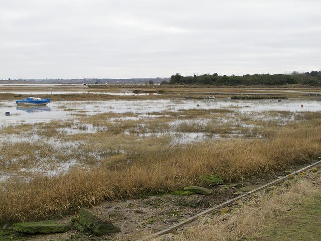 Marshy inlet, Sharp's Green Bay