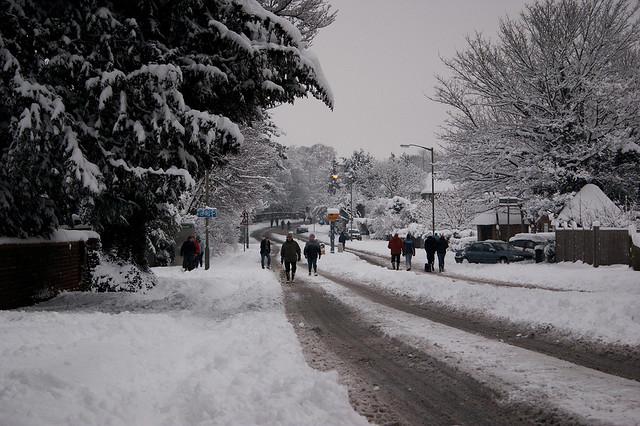 Snowy Guildford