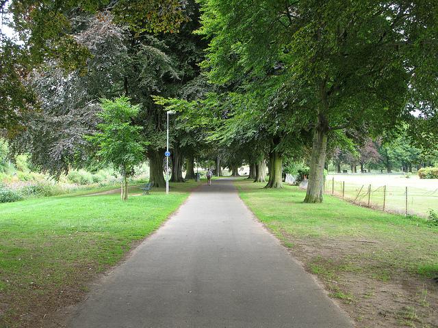 Hereford