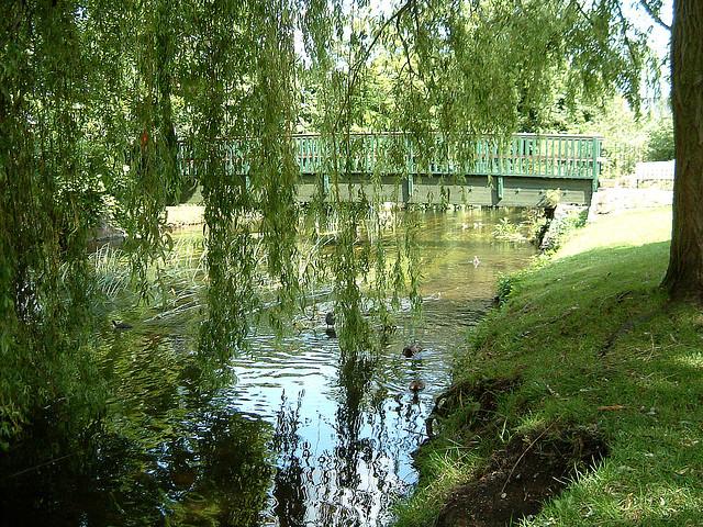 Shades of Green