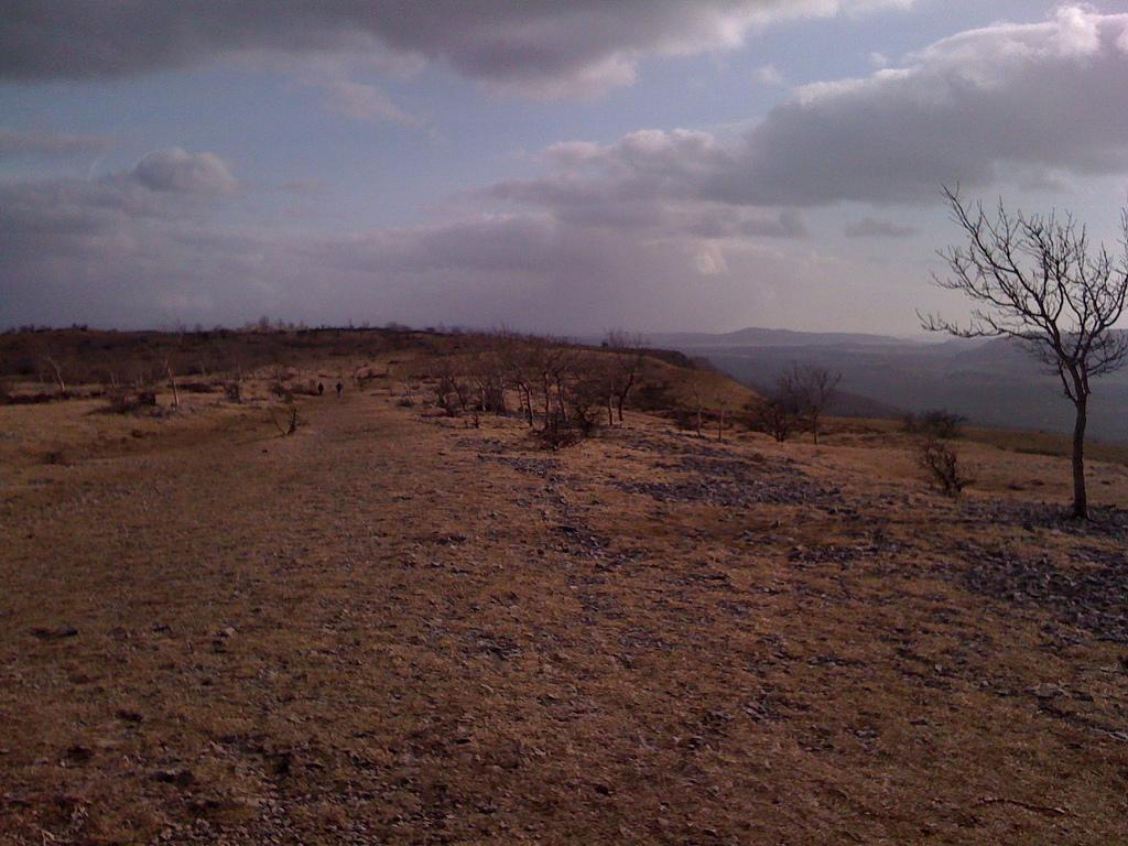 Mothers Day Walk