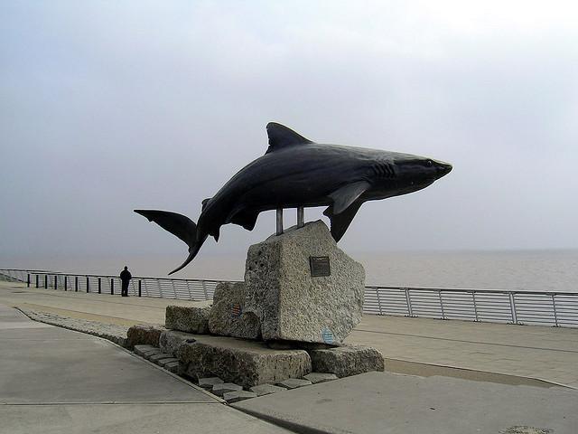 Shark Statue