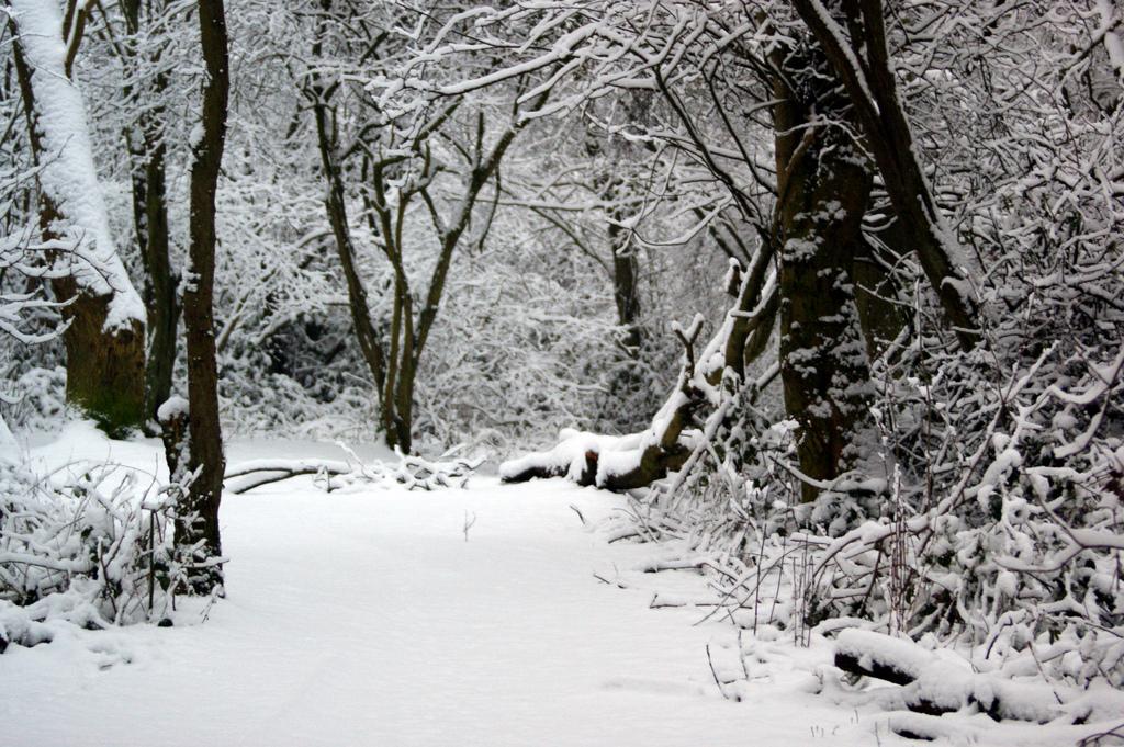 Snow in Farley Hill, Luton