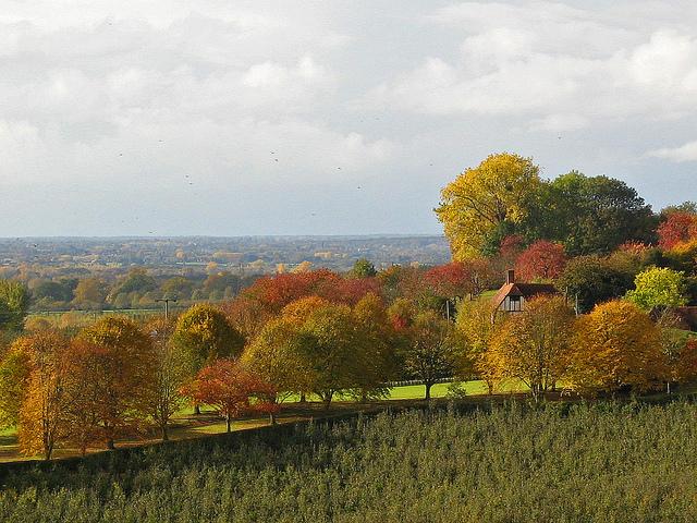 Autumn colours, Kent 2