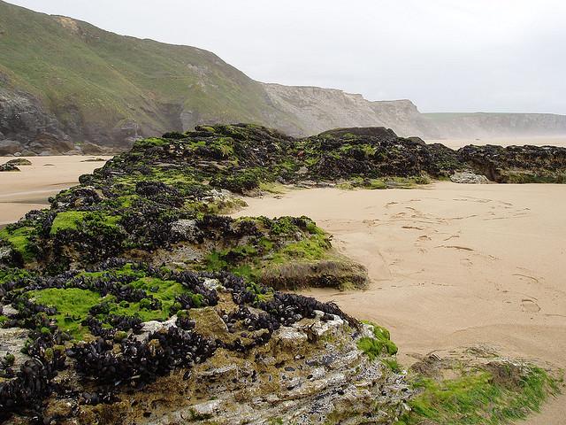 Newquay, Cornwall, UK