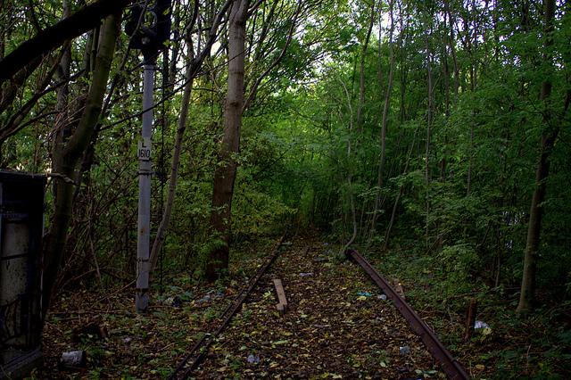 Derelict Railway