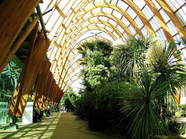 Sheffield Winter Garden