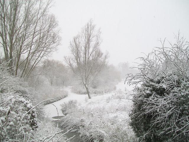 Stevenage snow 2
