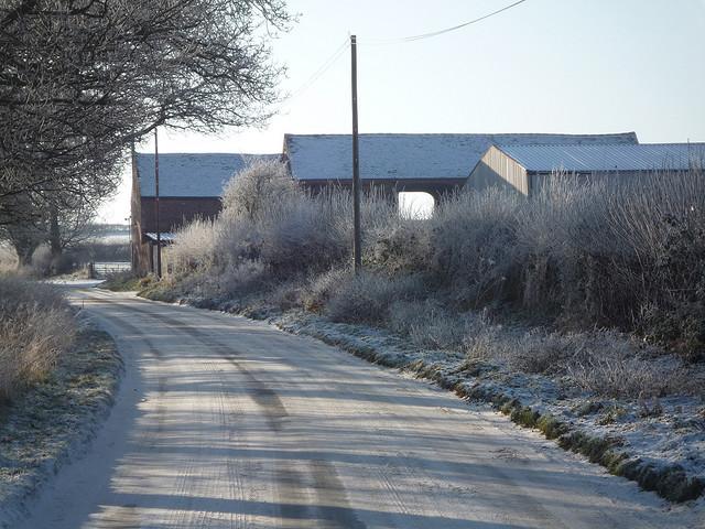 Hoar frost, Stourbridge,  22nd December 2009