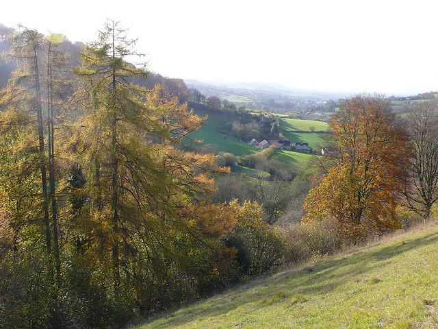 View back along the Slad Valley towards Stroud