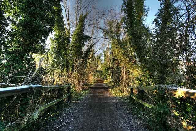 Ebury way cycle path