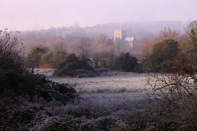 Itchen water meadows