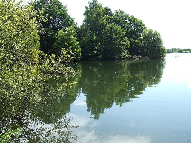 dscf0920