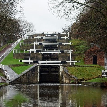 Bingley