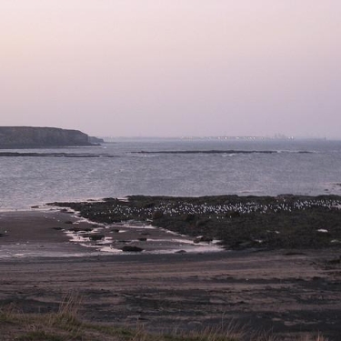 Blyth