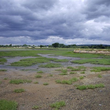 Chichester