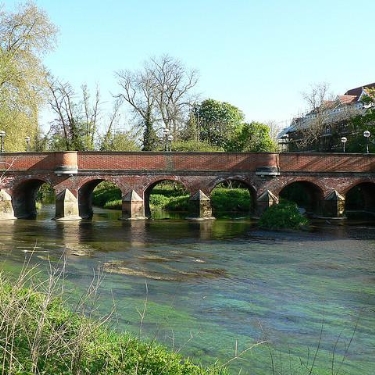 Leatherhead