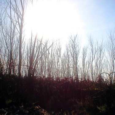 Llanelli