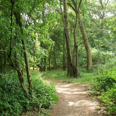 Stevenage