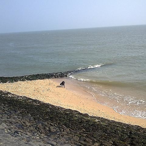 Canvey Island